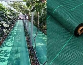 MALLA  ANTIHIERBA 130GR 1X10M VERDE NATUUR